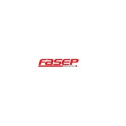 Fasep 2000
