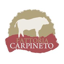 Fattoria Carpineto Dei F.lli Rusciano