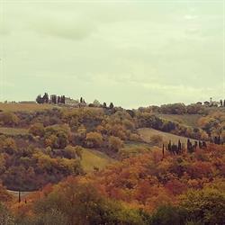 Fattoria Corzano E Paterno S.S.