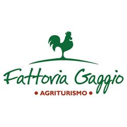 Fattoria Gaggio Sdf