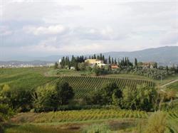 Fattoria Di Piazzano
