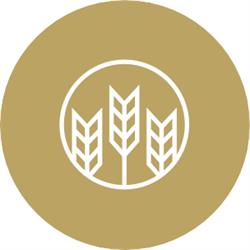 Fava Silvano