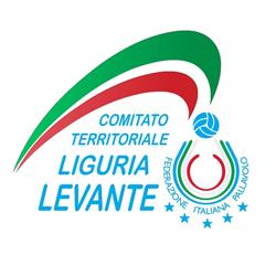 Federazione Italiana Pallavolo