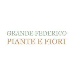 Grande Federico Piante e Fiori