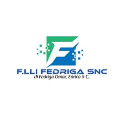 Fedriga Silvio