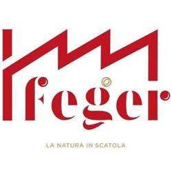 Feger Di Gerardo Ferraioli S.p.a.