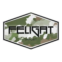 Feligat Di Badini Stefano