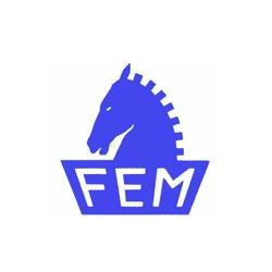 Fem Srl