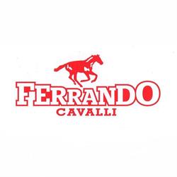Ferrando Cavalli Di Ferrando Battista' Davide