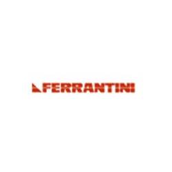 Ditta Ferrantini