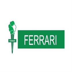 Ferrari Coni