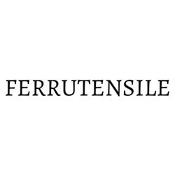 Ferrutensile