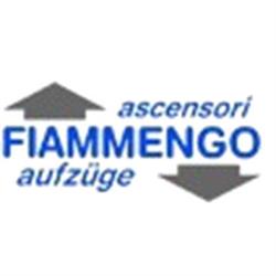 Fiammengo Ascensori