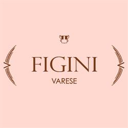 FIGINI RENATO S.N.C. - DI FIGINI ANGELA & C.