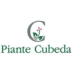 Vivaio Piante Cubeda