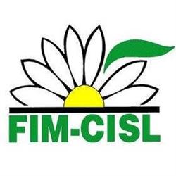 FIM