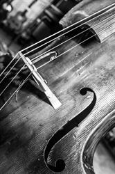 Finalmente Musica