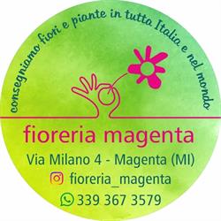 fioreria Magenta