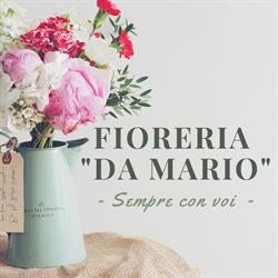 Fioreria Da Mario Di Maiutto Mario