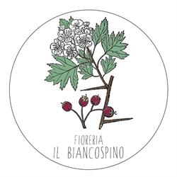 Fioreria Il Biancospino Di Vanzolini Rita
