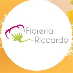 Fioreria Riccardo Di Trevisson Claudio & C. (S.n.c.)
