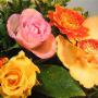 Fiori