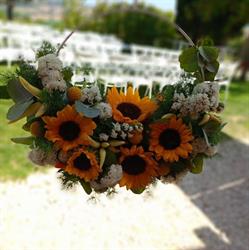 Fiori Piante Annalisa Flor