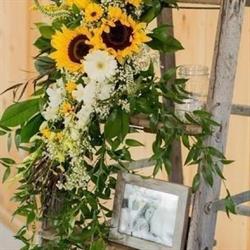 Da Marcella Fiori E Piante