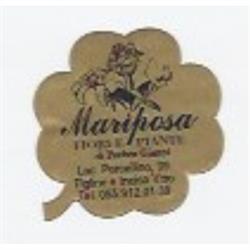 Mariposa Fiori e Piante