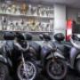 Gallery Professionale