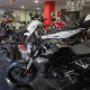 Gallery Professionale