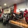 Gallery Professionale