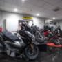 Gallery Professionale