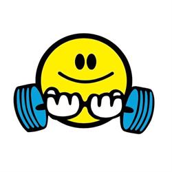 Fit Evolution Palestra
