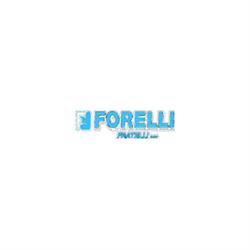 Zincatura Galvanica Fratelli Forelli Sas