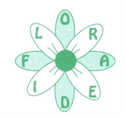Flor Idea srl