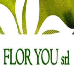 Flor You - Ingrosso Fiori