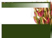 Sito di Florelia (Srl)