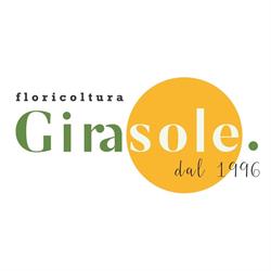 Floricoltura Girasole S.S. Di Bergaglio Dino E Massa Giorgio