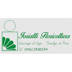 Floricoltura Ioriatti