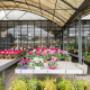 Gallery Professionale