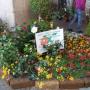 Manutenzione Giardini