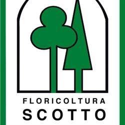 Floricoltura Scotto
