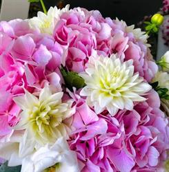 Follie Di Fiori