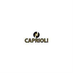 Caprioli Fonderia