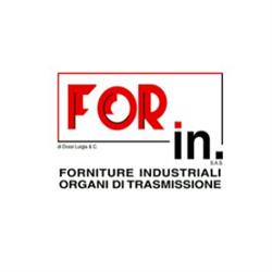 for.in. Sas