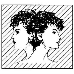 Fornaciari Patrizia