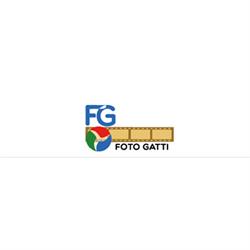 Foto Gatti
