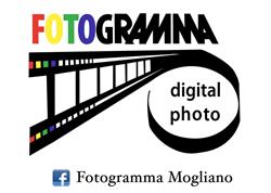 Fotogramma (S.n.c.)