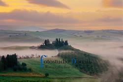Fotostudio Donati Snc